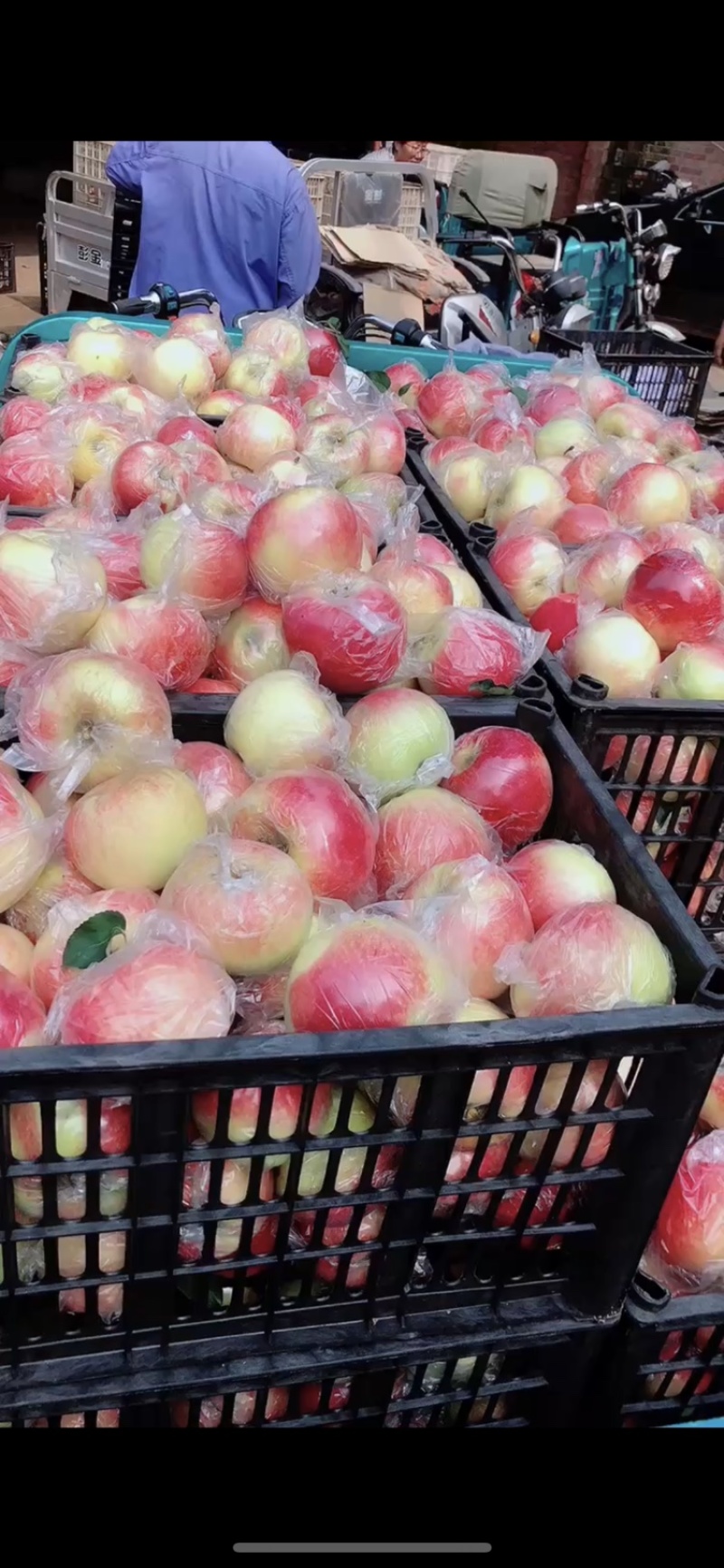 美八苹果🍎大量上市，批发零售电商均可