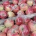 美八苹果🍎大量上市，批发零售电商均可