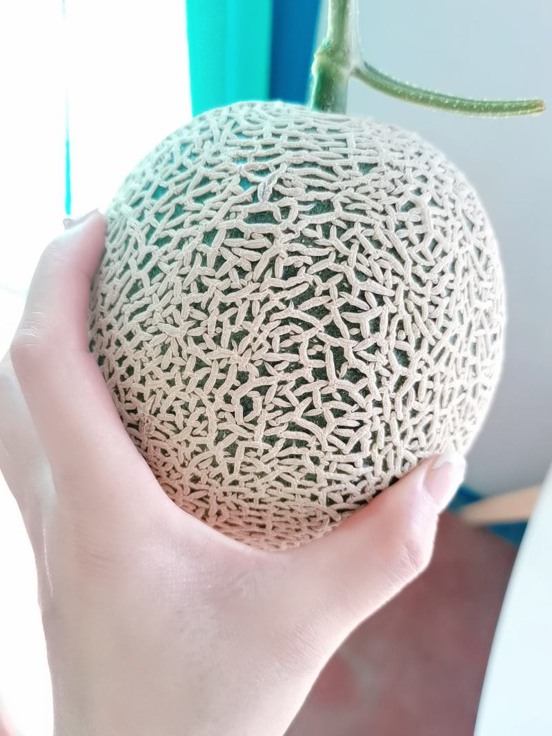 大量上市赤峰牛三网纹瓜