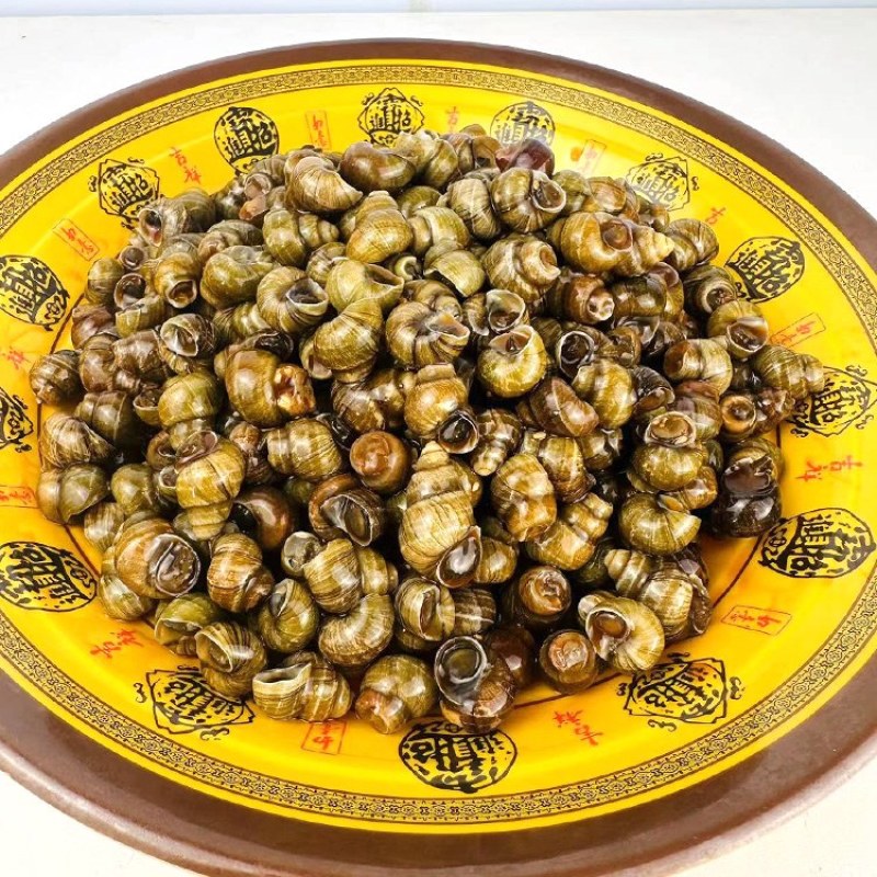 捞汁田螺批发，一袋起发三袋包邮全国发货送货上门