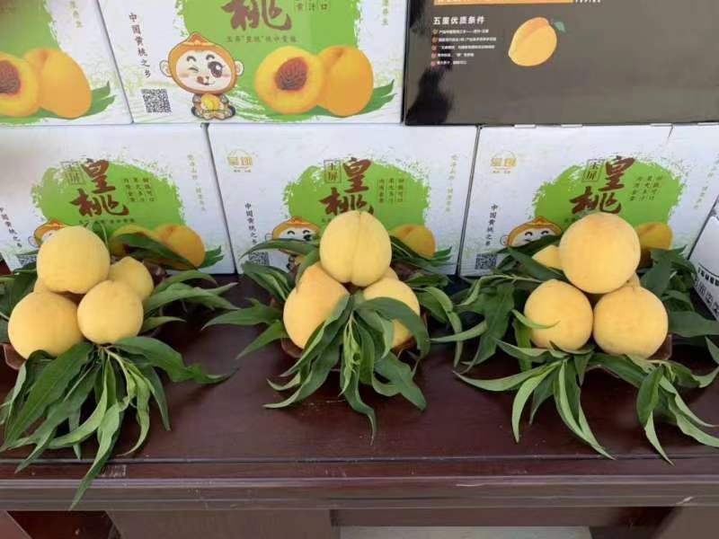 精品黄桃产地直供品质保证价格优惠欢迎新老客户选购
