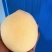 精品黄桃产地直供品质保证价格优惠欢迎新老客户选购