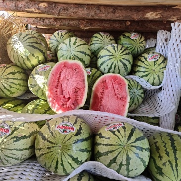 什么规格都有
