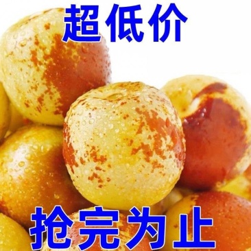 冬枣青枣早脆脆枣早熟冬枣，一件代发包邮