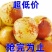 冬枣青枣早脆脆枣早熟冬枣，一件代发包邮