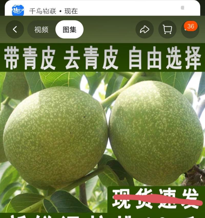 青皮核桃