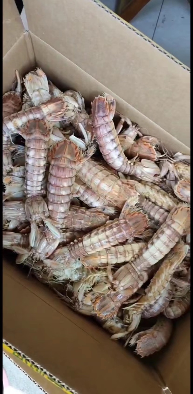 海产品代办，加工