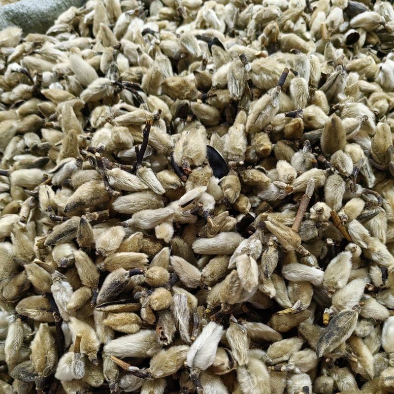 辛夷花鼻炎花香料中药材一手货源批发