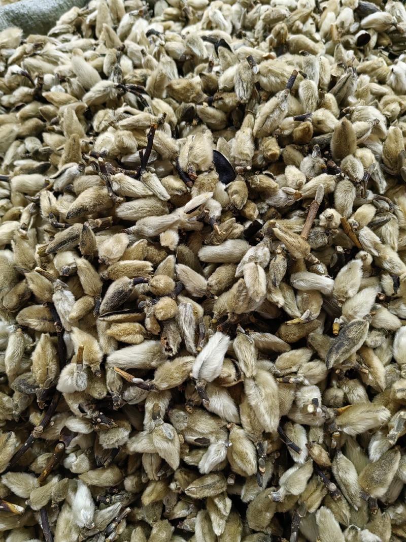 辛夷花鼻炎花香料中药材一手货源批发