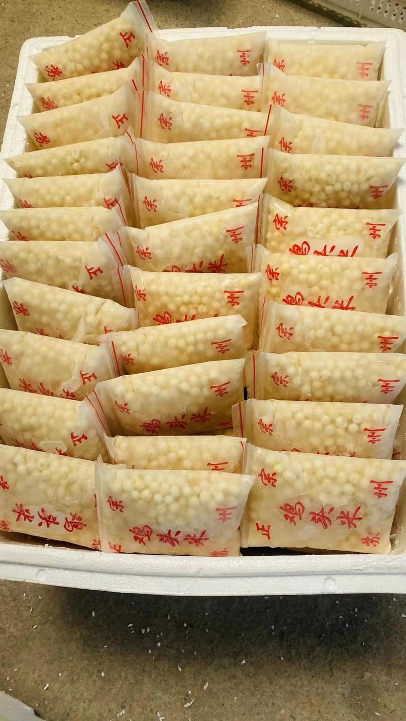 [热卖]江苏淮安芡实芡实米鸡头米产地直发冰鲜