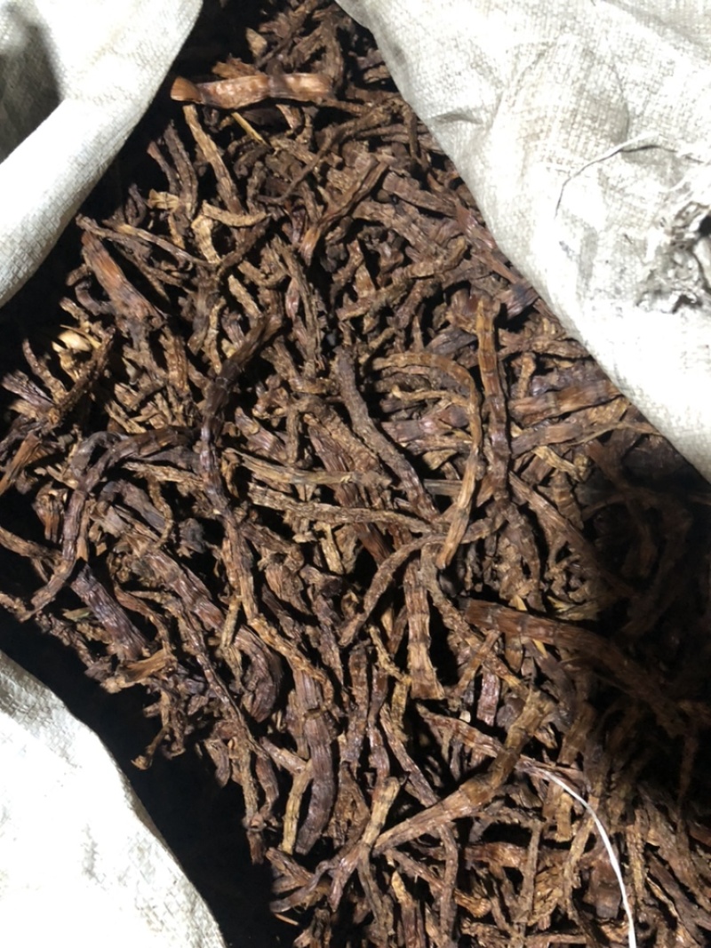 干竹笋