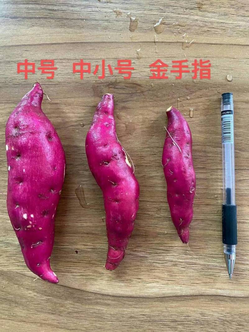 临安本地天目小香薯皮薄软糯香甜品质口感在线一件代发