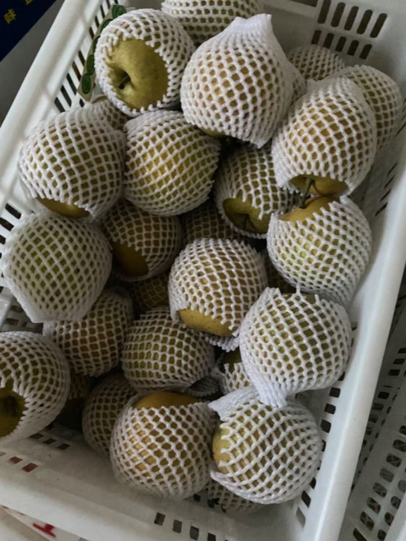 万州脆冠梨大量上市，30万斤大园子，需要的联系