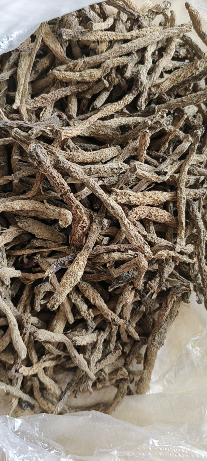 仙茅