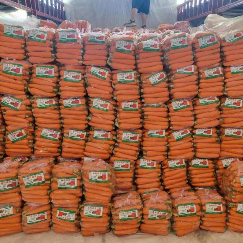 精品胡萝卜产地直供货源充足量大从优欢迎咨询
