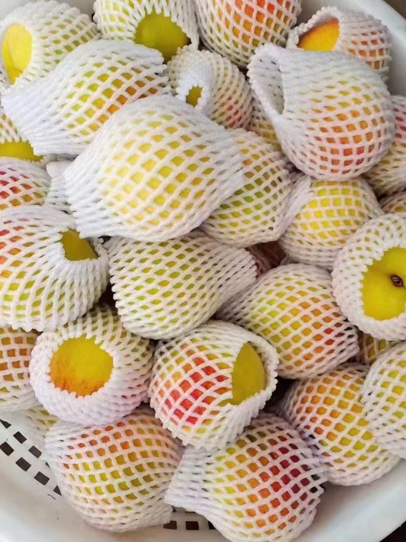 建宁县锦绣黄桃