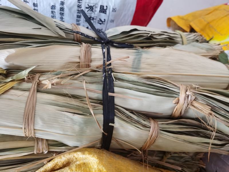 长期供应干粽叶新鲜粽叶，广西野生箬叶有市场的老板请联系。