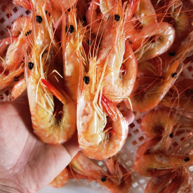 正宗复州湾烤虾干