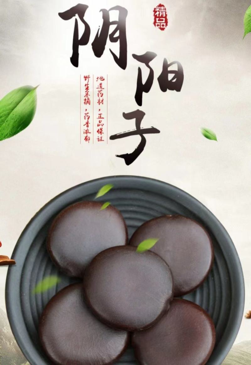 野生阴阳子中药材肾果木腰子泡茶泡酒保质保量包邮
