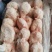 小肚，大小均有货，可以单出，现货出售，质量保证，货源充足