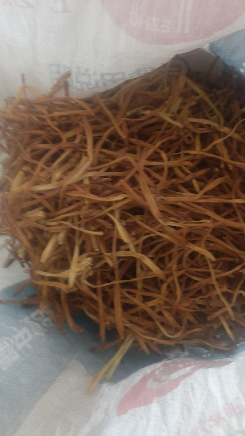 湖南祁东黄花菜
