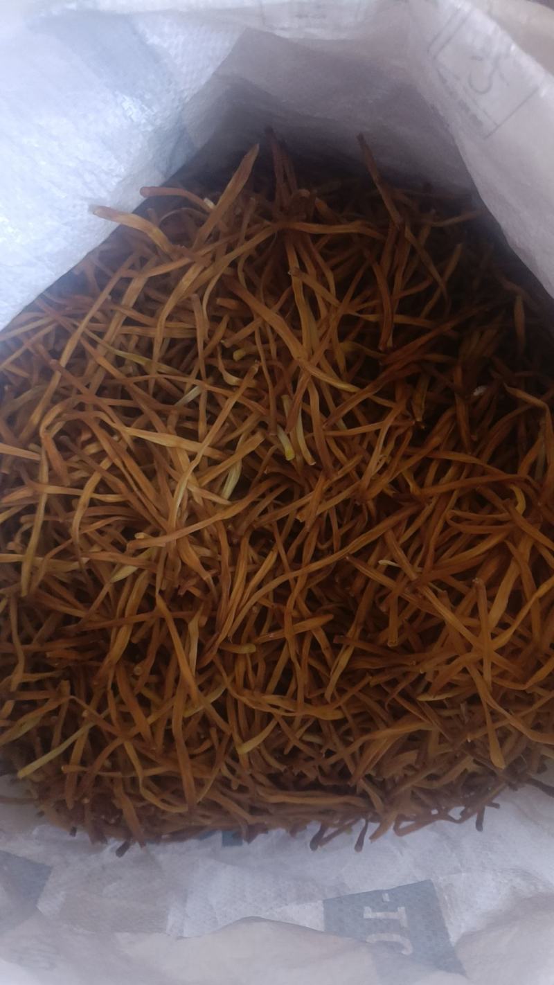 湖南祁东黄花菜