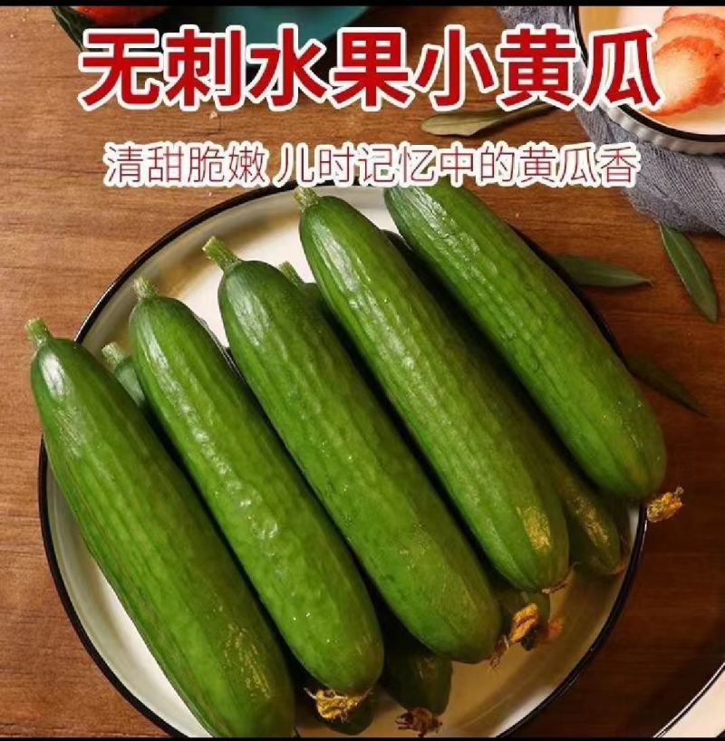 【呀！真好吃】小巧玲珑水果黄瓜，产地直发，新鲜发货，来吧