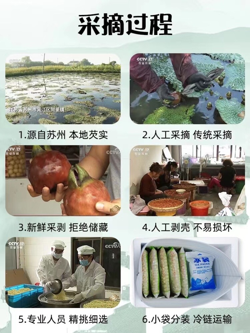 苏州正宗鸡头米，正新鲜大量上货，欢迎订购