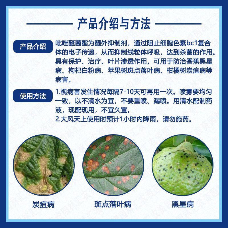 进口先正达30%吡唑醚菌酯丰达金选白粉黑星病农药杀菌剂
