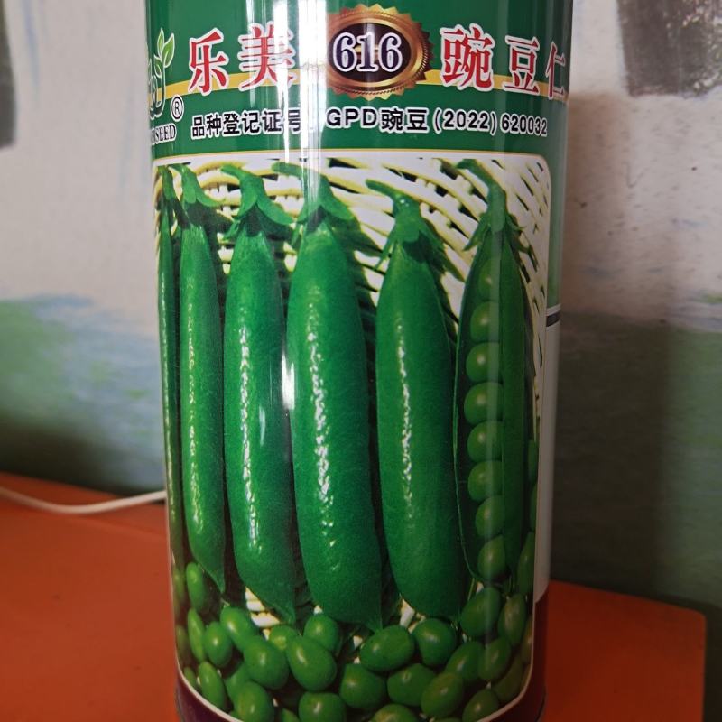 乐美豌豆仁种子（吃米专用）视频图片看货