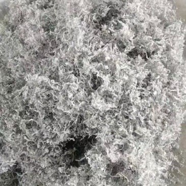 永顺莓茶大量供货，自产自销，欢迎随时问价