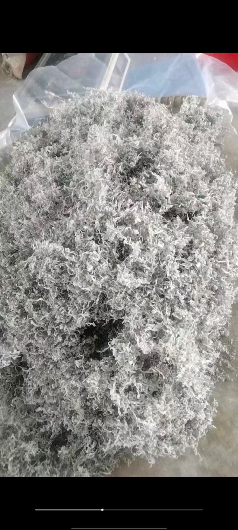 永顺莓茶大量供货，自产自销，欢迎随时问价