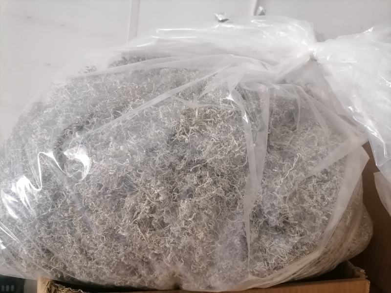 永顺莓茶大量供货，自产自销，欢迎随时问价