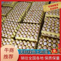 精品无抗绿色土鸡蛋量大供应品质欢迎咨询