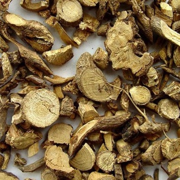 豆根山豆根北豆根