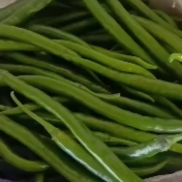 陕西精品芜湖椒，大量供应，支持电商，大小吨位