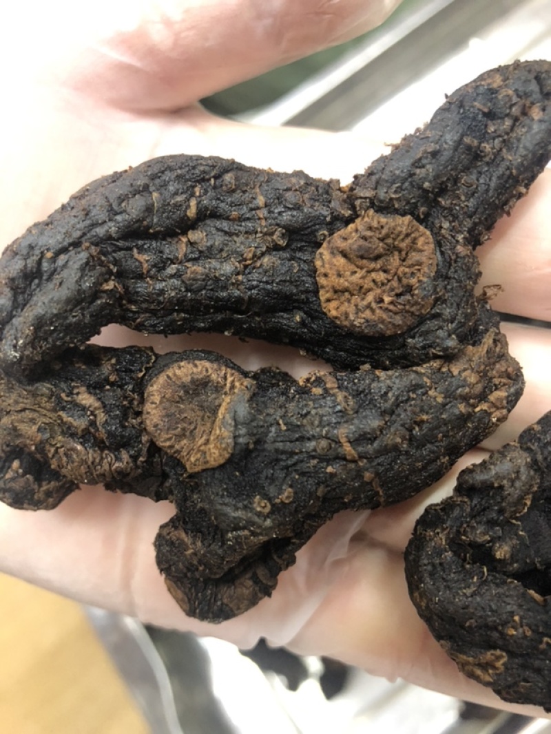 云南深山黄精多花制黄精滇黄精鸡头黄精不满意包退换