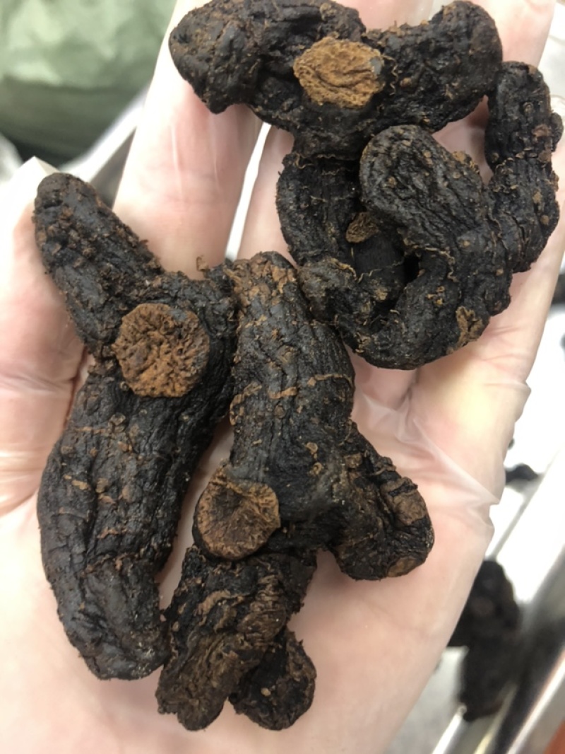 云南深山黄精多花制黄精滇黄精鸡头黄精不满意包退换