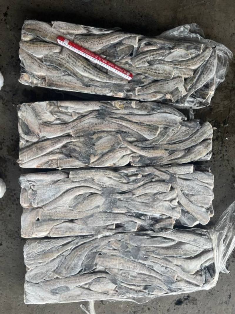 鳕鱼，板冻鳕鱼，品质高，原汁货，价格便宜，货源充足，
