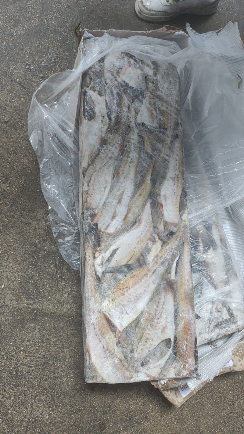 鳕鱼，板冻鳕鱼，品质高，原汁货，价格便宜，货源充足，