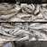 鳕鱼，板冻鳕鱼，品质高，原汁货，价格便宜，货源充足，
