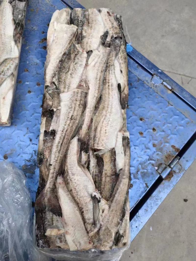 鳕鱼，板冻鳕鱼，品质高，原汁货，价格便宜，货源充足，
