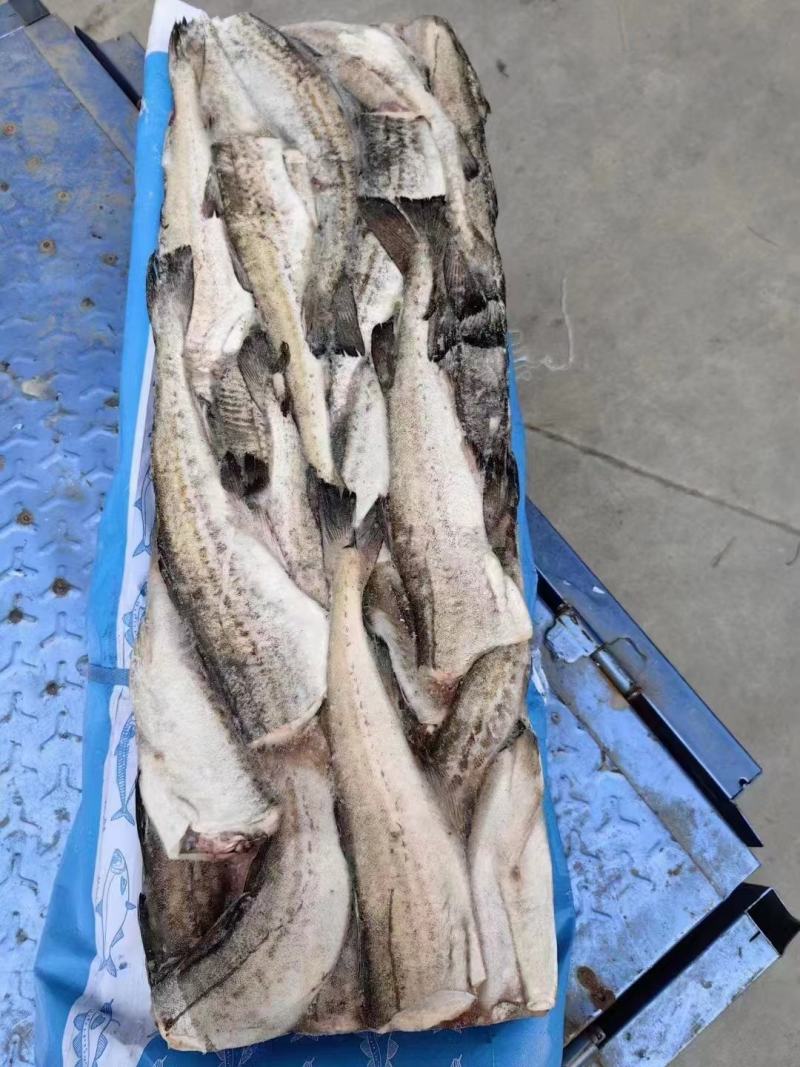 鳕鱼，板冻鳕鱼，品质高，原汁货，价格便宜，货源充足，
