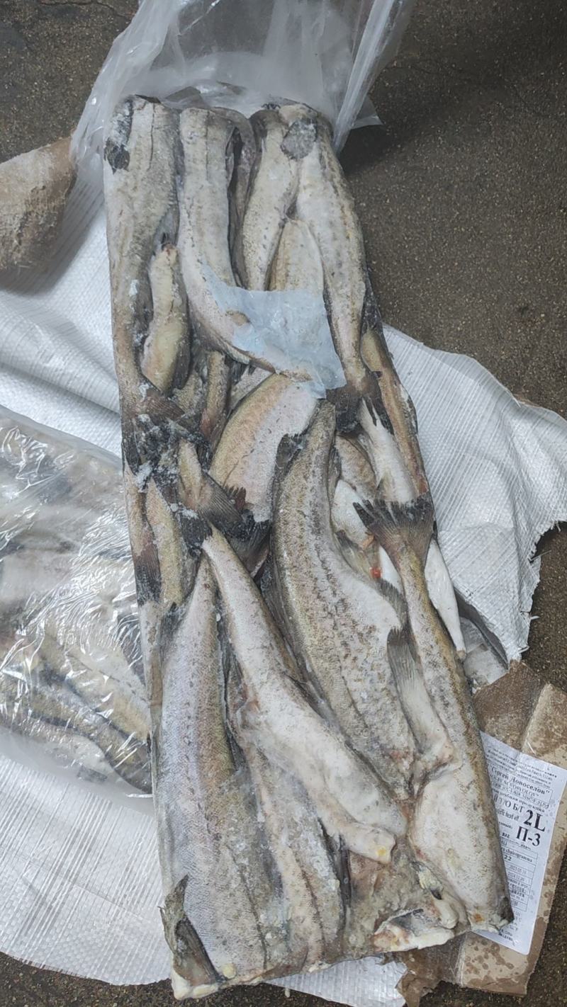 鳕鱼，板冻鳕鱼，品质高，原汁货，价格便宜，货源充足，