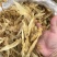 正品北海深海野生小金龙鱼胶花胶鱼胶干货孕妇滋补煲汤胶原蛋