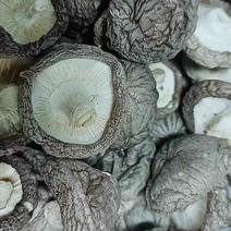干香菇大量供应凤县自家加工厂质量保证量大从优对接批发