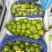 阳光玫瑰夏黑沪太陕西葡萄产地直发皮薄多汁