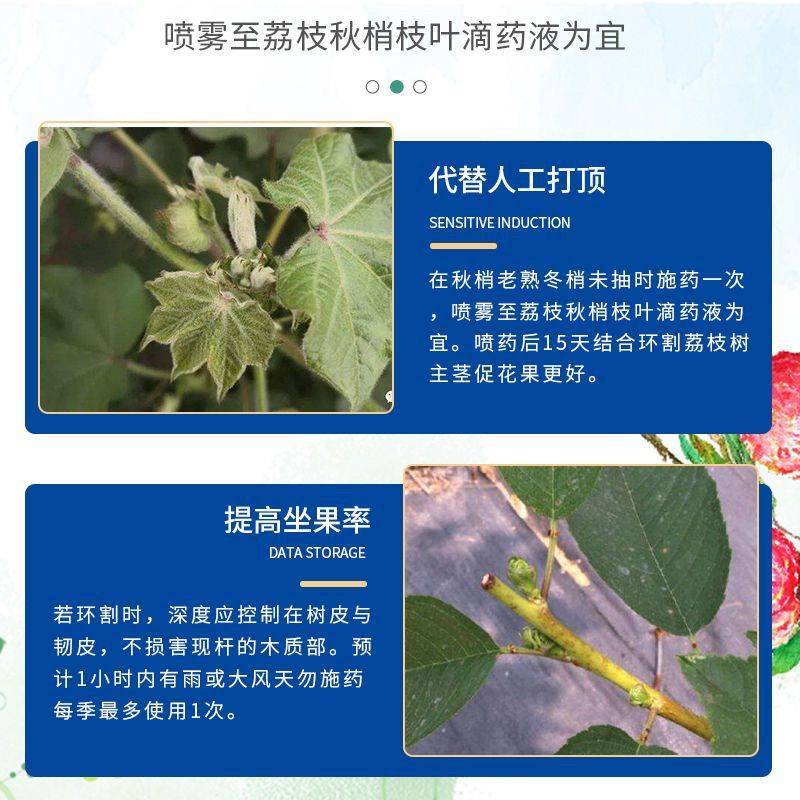 江苏托球巧力25%多效唑植物生长调节剂荔枝树控梢整箱批发