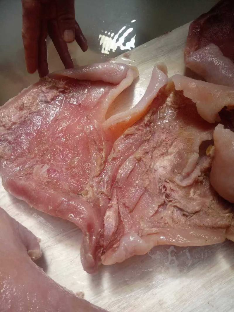 大公牛熟牛头皮五斤真空包装都是带着肉的清水煮制