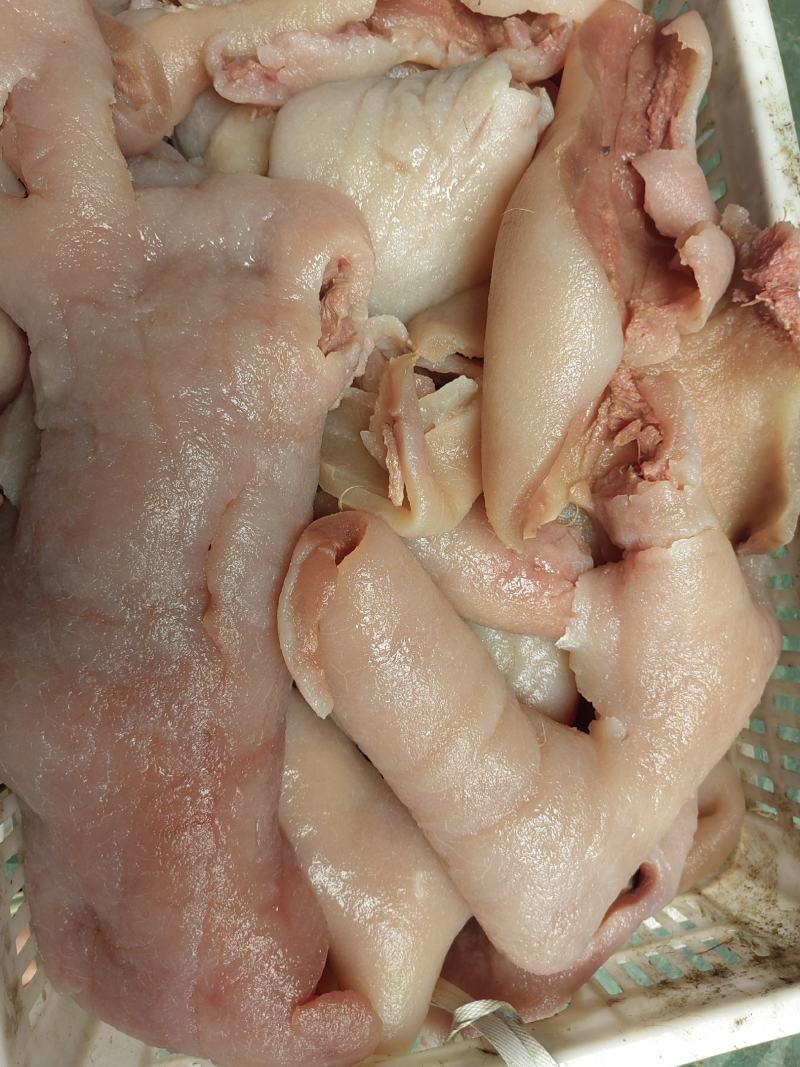 大公牛熟牛头皮五斤真空包装都是带着肉的清水煮制